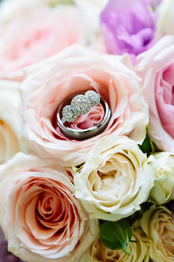 عکس حلقه ازدواج درون گل رز