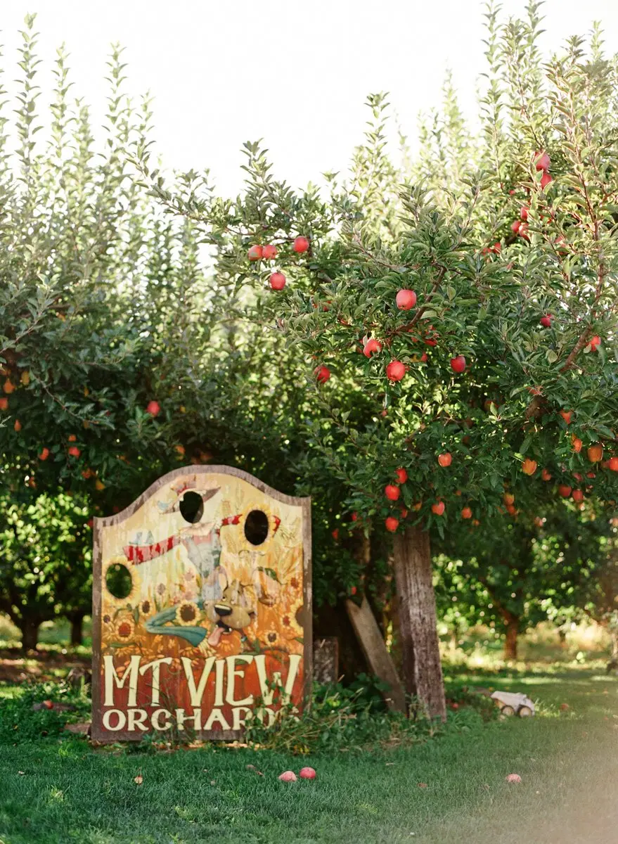 mt-view-orchards-weddings-fall-wedding-ideas-8