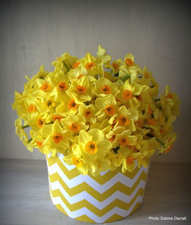 7-savvy-wedding-flowers-for-a-small-budget-Narcissi