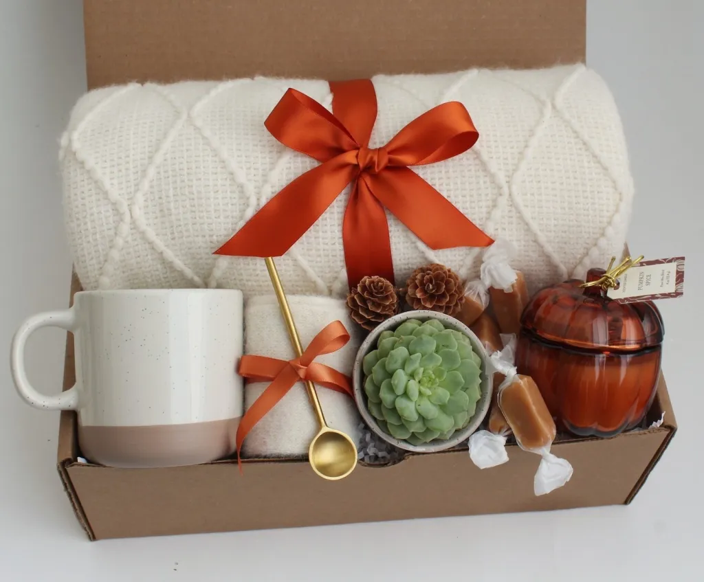 fall-themed-unique-homemade-DIY-gift-basket-ideas-with-cozy-blanket-and-succulent-plant
