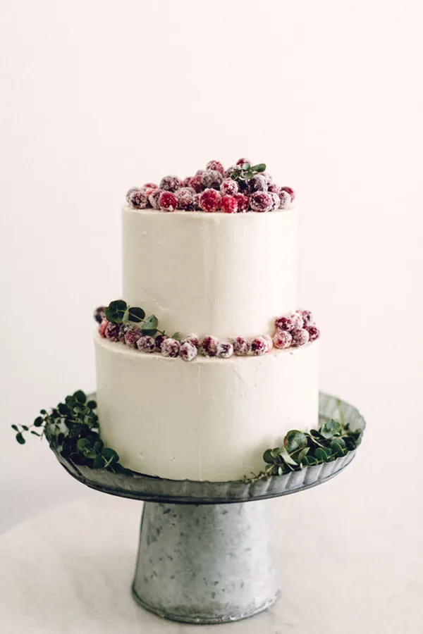 winter-wedding-cakes-101