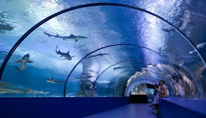 Check-Out-The-Antalya-Aquarium_29th-jan