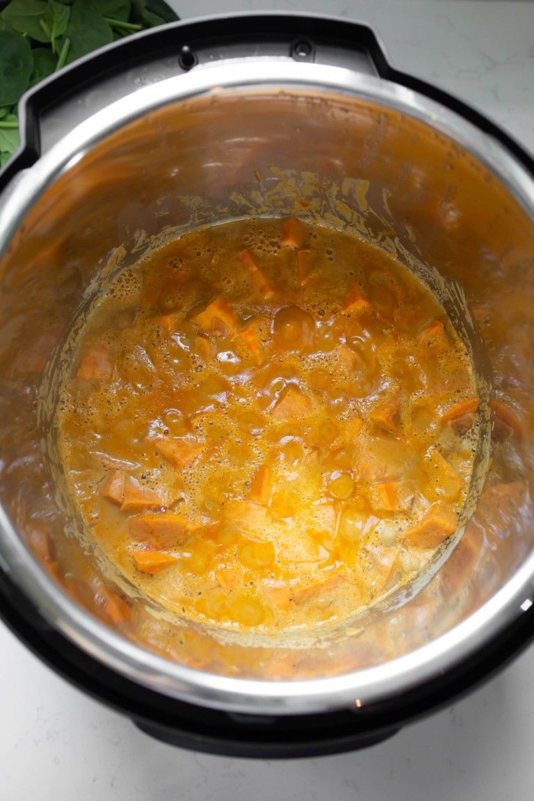 vegan-instant-pot-curry6
