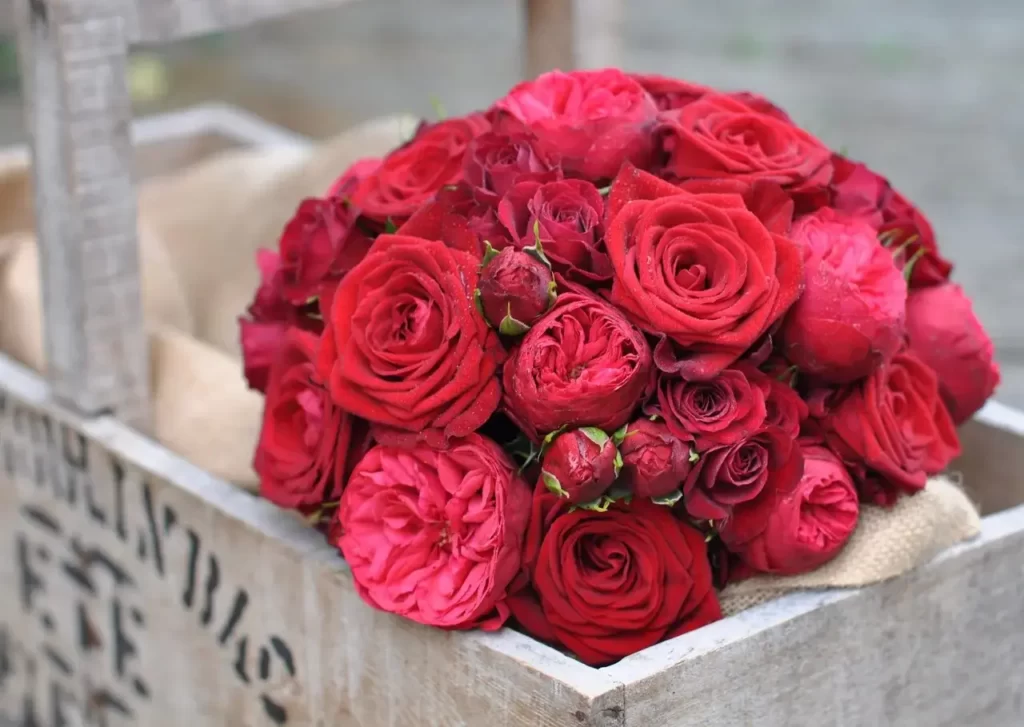 116888-simple-red-rose-wedding-bouquet